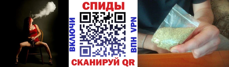 БУТИРАТ BDO 33% как найти Новороссийск