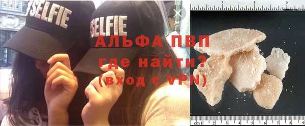 сатива Армянск