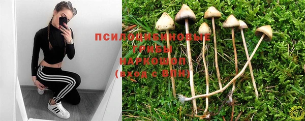 дживик Арсеньев