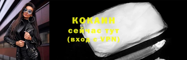 хмурый Гусь-Хрустальный