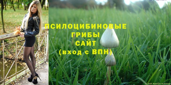 марки nbome Аркадак