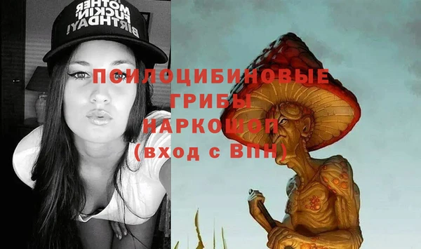 соль курить ск Алзамай