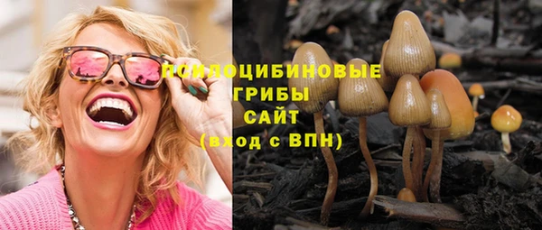 дживик Арсеньев