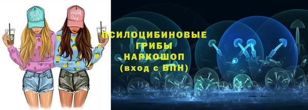 сатива Армянск