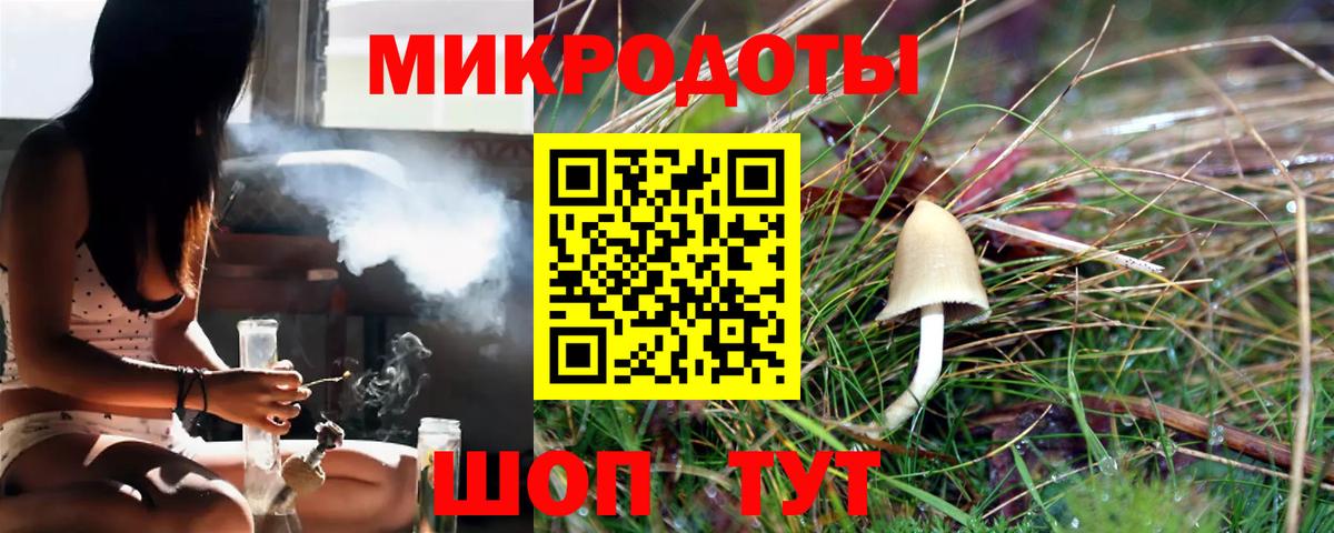 Псилоцибиновые грибы GOLDEN TEACHER Новороссийск